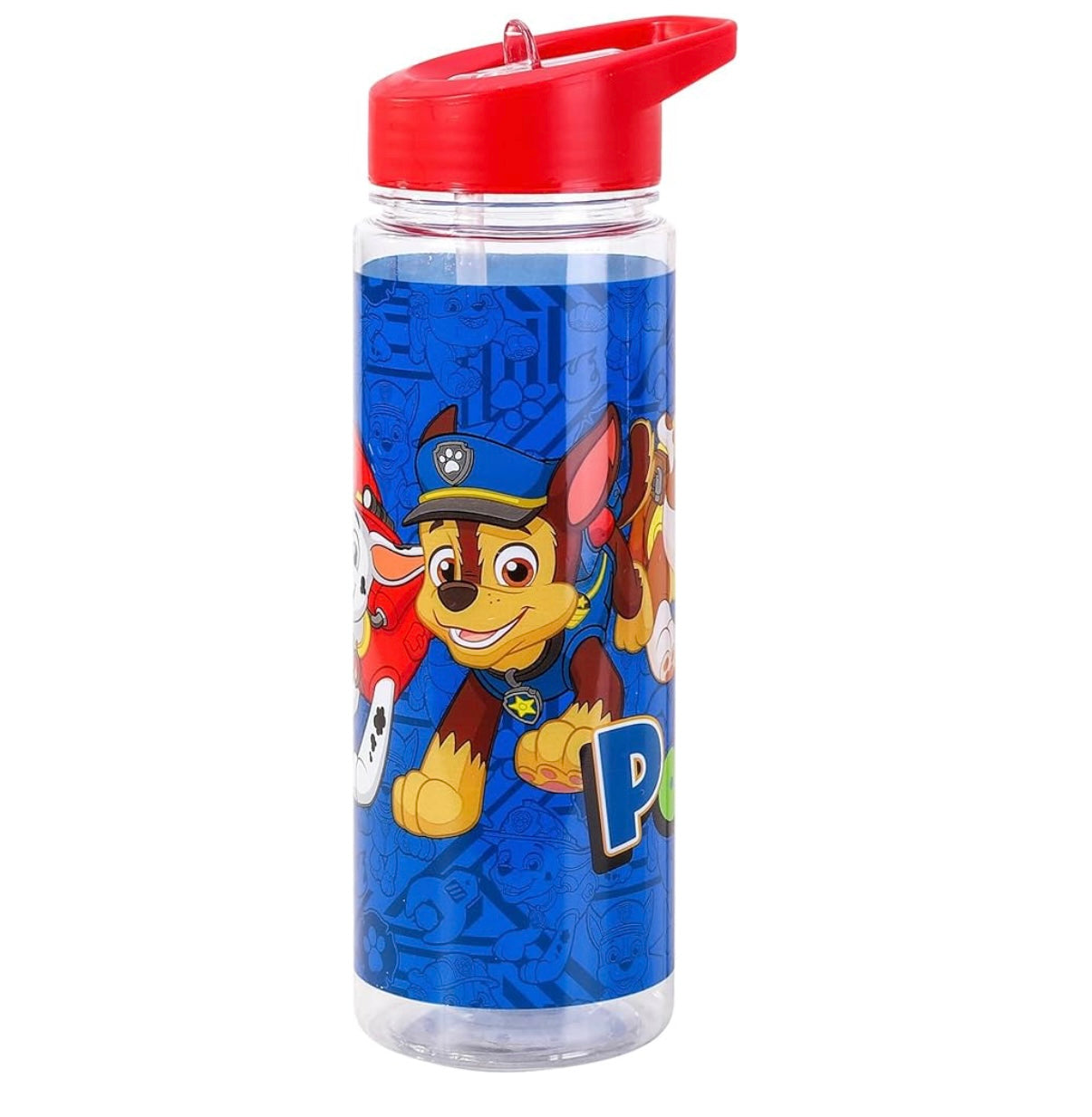 Paw Patrol Water Bottle - Marshal & Gang