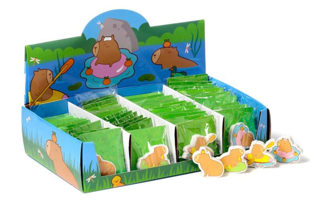 Capybara Eraser - Choose From 4 Stationary