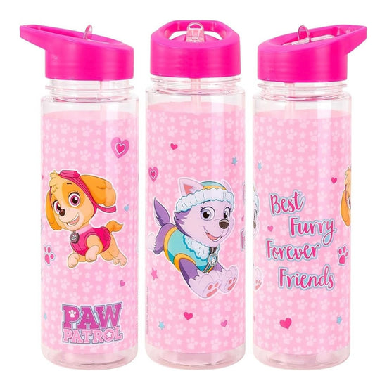 Paw Patrol Water Bottle - Skye