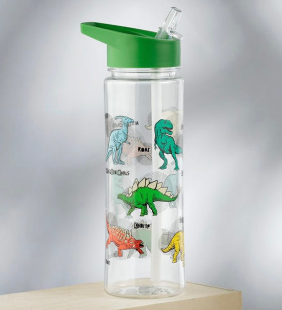 Shatterproof Plastic 550ml Water Bottle Dinosauria