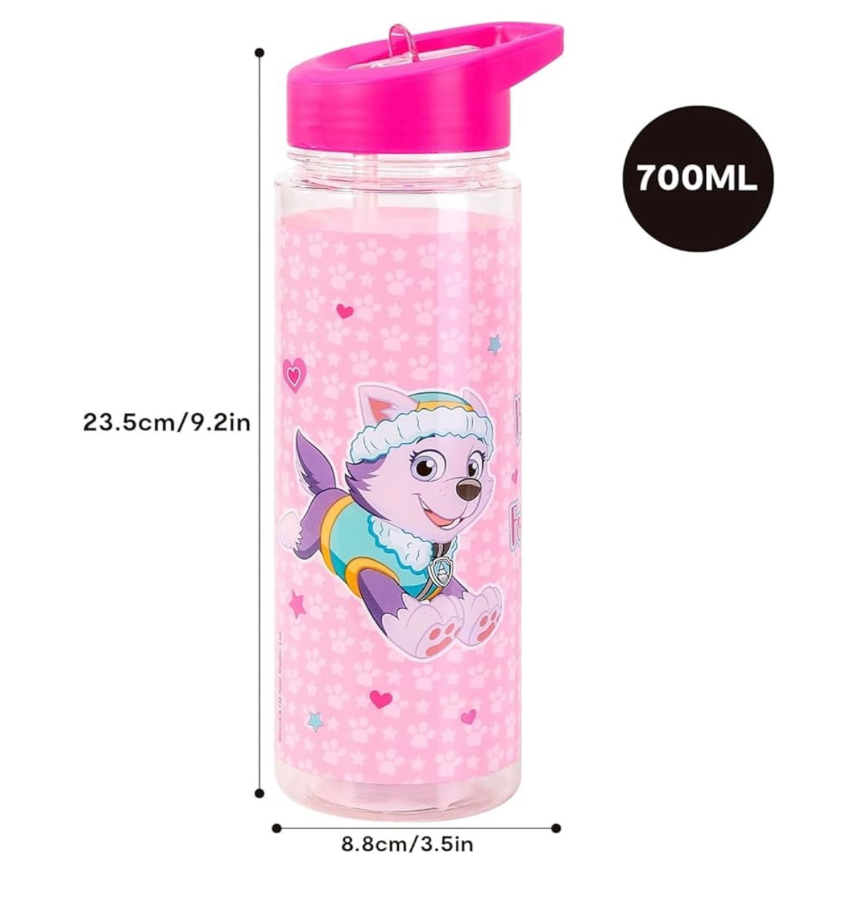 Paw Patrol Water Bottle - Skye